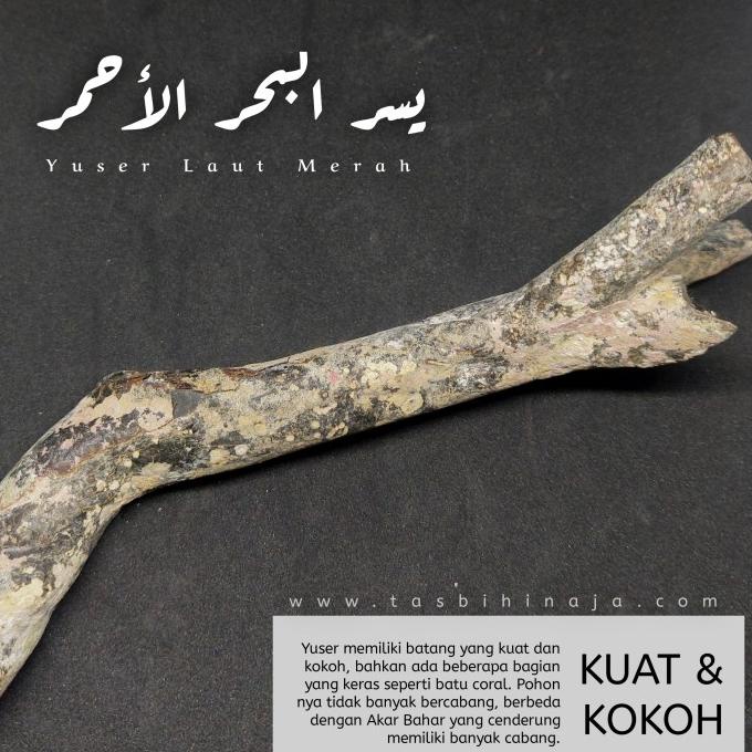 [ORIGINAL MESIR] TASBIH KAYU YUSER ASLI LAUT MERAH BULAT