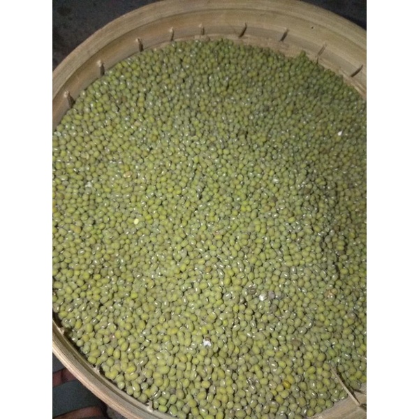 

kacang hijau jenis gronong panenan sendiri /500gr 1kg