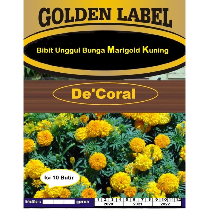 Bibit Bunga Marigold Kuning | Benih Bunga Marigold Kuning