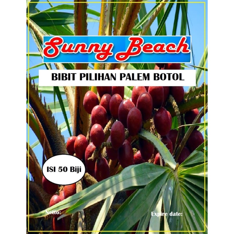 Bibit Pilihan Palem Botol|Biji Benih Palem Botol|Pohon Palem