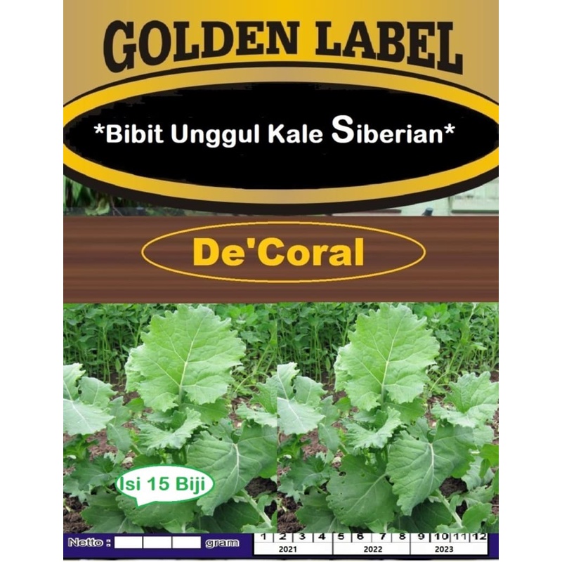 Bibit Unggul Kale Siberian | Benih Kale Siberian | Bibit Kale Siberian