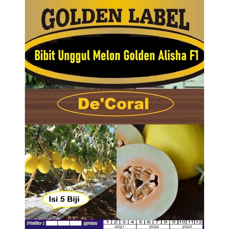 Bibit Unggul Melon Golden Alisha F1| Benih Melon Golden ALISHA F1