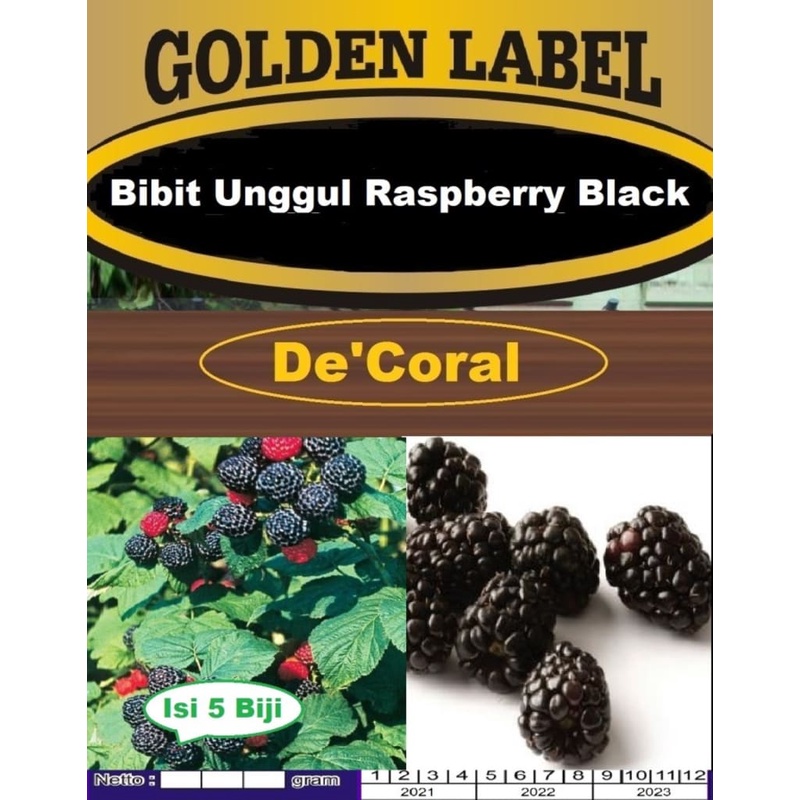 Bibit Unggul Raspberry Black|Benih Raspberry Hitam|Bibit Raspberry