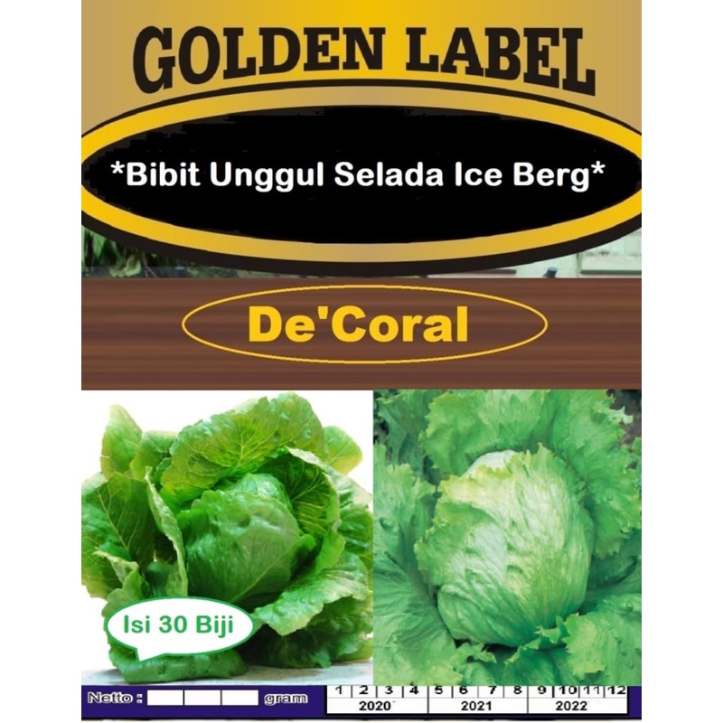 Bibit Unggul Selada Ice Berg | Benih Selada Ice Berg