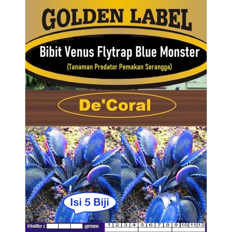 Bibit Venus Flytrap Blue Monster | Bibit Tanaman Pemakan Serangga
