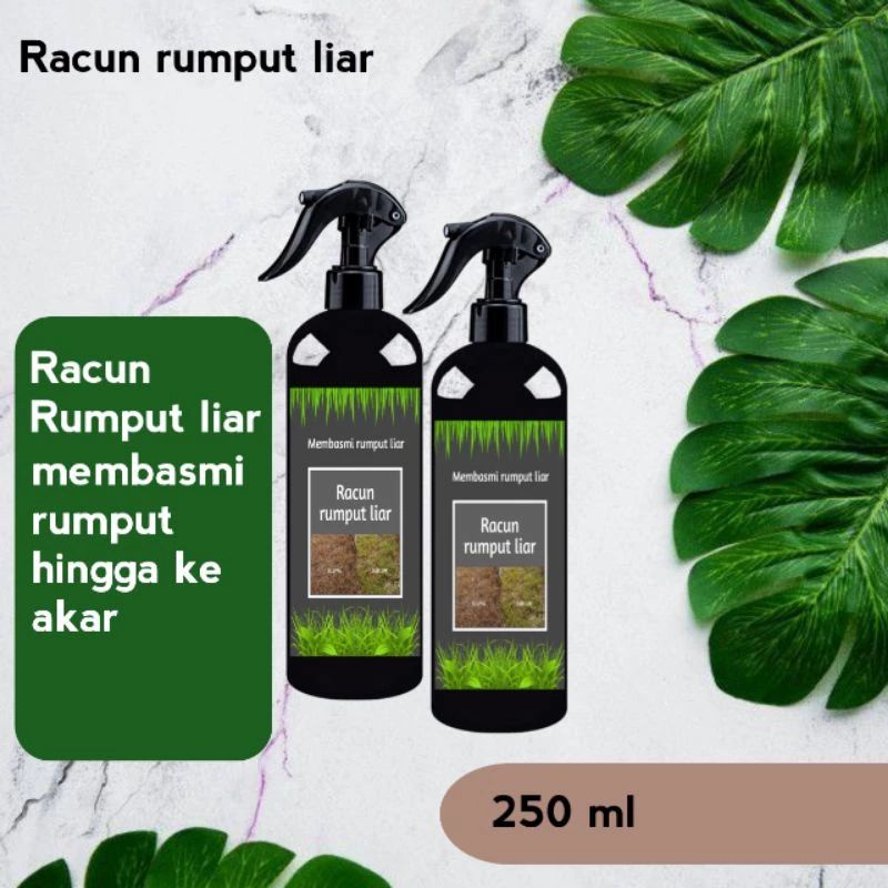 Racun rumput paling ampuh pembasmi rumput liar dan gulma