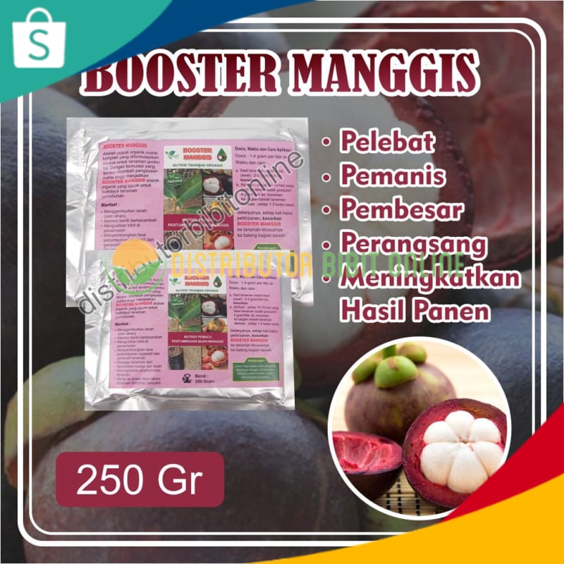Booster Manggis, Bisa COD Pupuk Booster Buah Manggis, Pemicu Manggis Cepat Berbuah