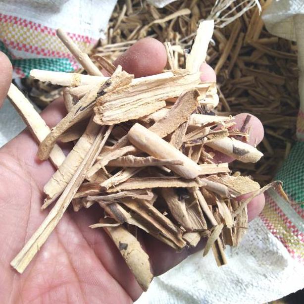 

Special Pulosari Kering 500gr / Kulit Kayu Pulosari Kering !!