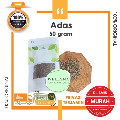 

☘️Wellyna☘️ Biji Adas 50 gram - Adas Manis