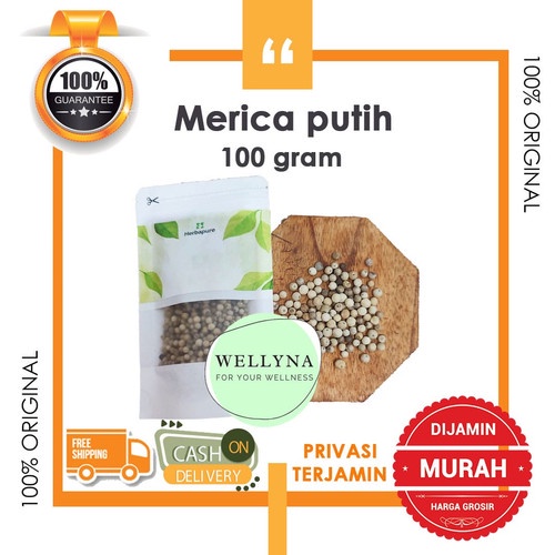 

☘️Wellyna☘️ Biji Lada Putih 100gr - Biji Merica Putih Kualitas Bagus