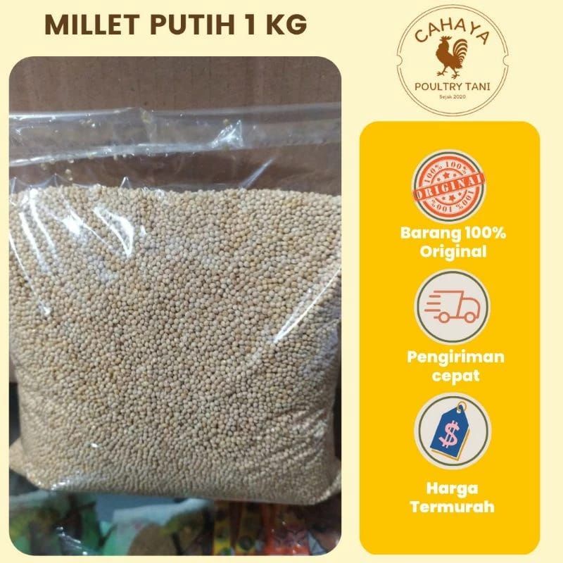 Pakan Burung MILLET PUTIH 1 Kg