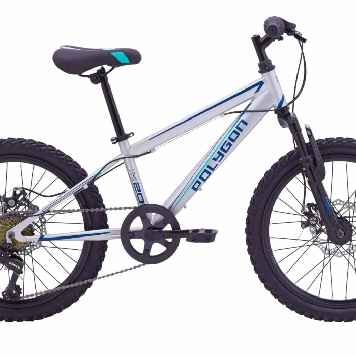 Promo Sepeda Bmx 20 Polygon Maze