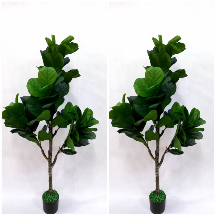 [Original] Pohon Ketapang Palsu Artificial T.150Cm/Pohon Plastik/ Pohon Ketapang Berkualitas