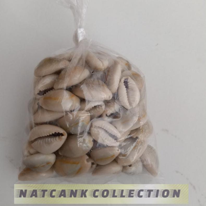 Kuwuk Kerang laut buat Congklak atau mainan bola bekel 100 gram