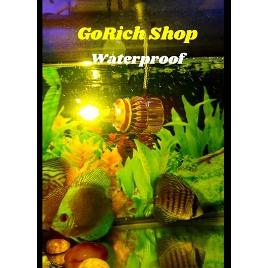 New - Led Foglamp Headlamp C6 H11, H8, H9 Yellow / Kuning 