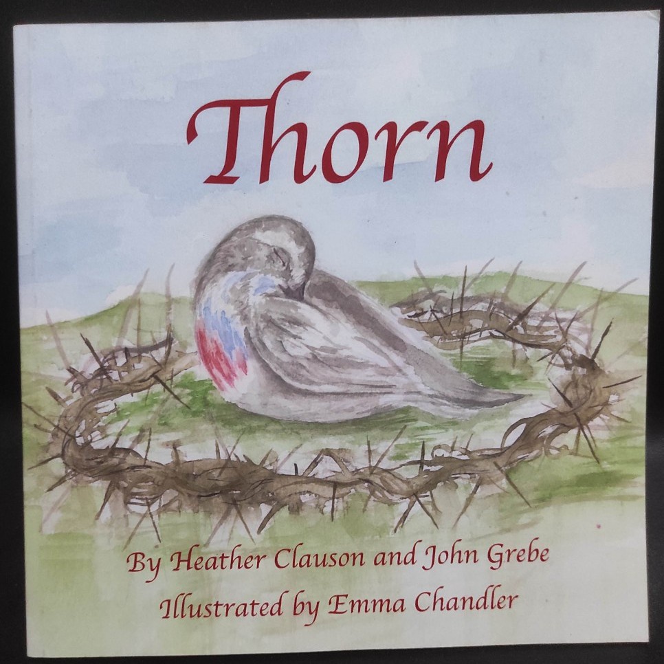 Thorn : Buku Cerita Anak Impor Thomas Nelson