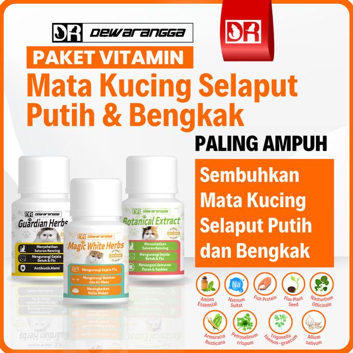 Vitamin Mata Kucing Selaput Putih Dewarangga. Obat Mata Kucing Bengkak