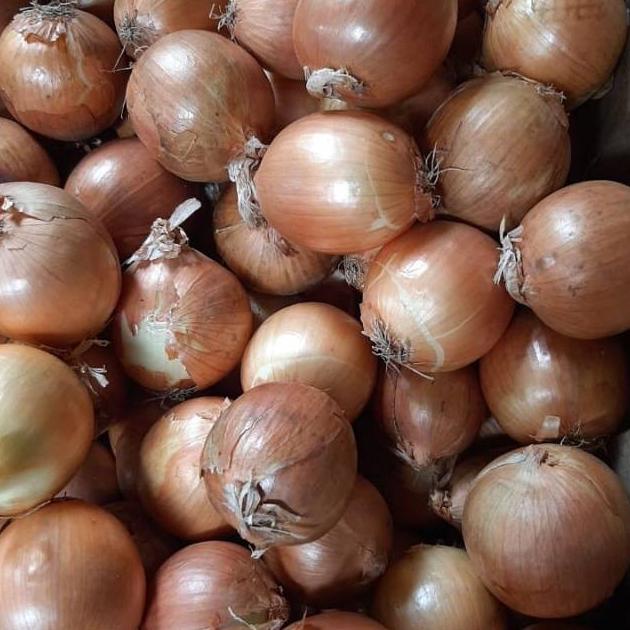 

DISCOUNT BAWANG BOMBAY SEGAR UKURAN KECIL IMPORT NEW ZEALAND KARUNGAN 1KG HANYA HARI INI