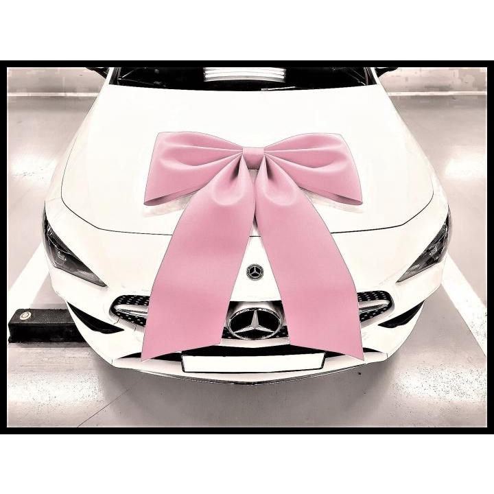 

GRATIS ONGKIR PITA BESAR SAILOR BOW PINK TUA MUDA 50CM HADIAH MOBIL MOTOR !!