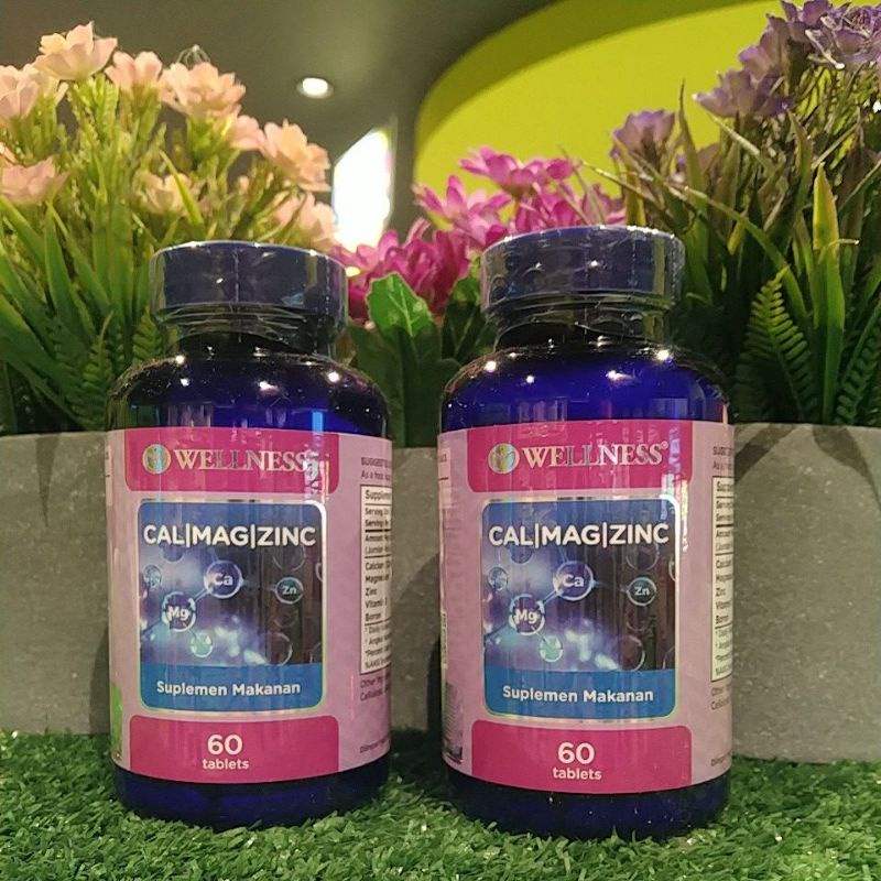 WELLNESS CAL/MAG/ZINC