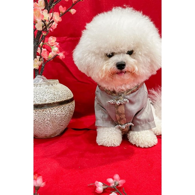 Baju Anjing Cheongsam Imlek Jantan Grey Premium