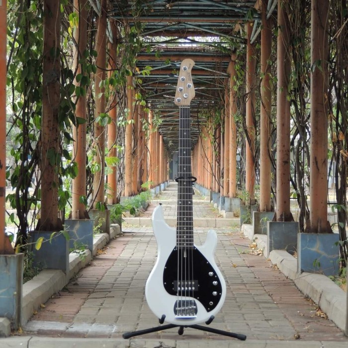 Bass musicman String Ray 5 senar custom ffstk790