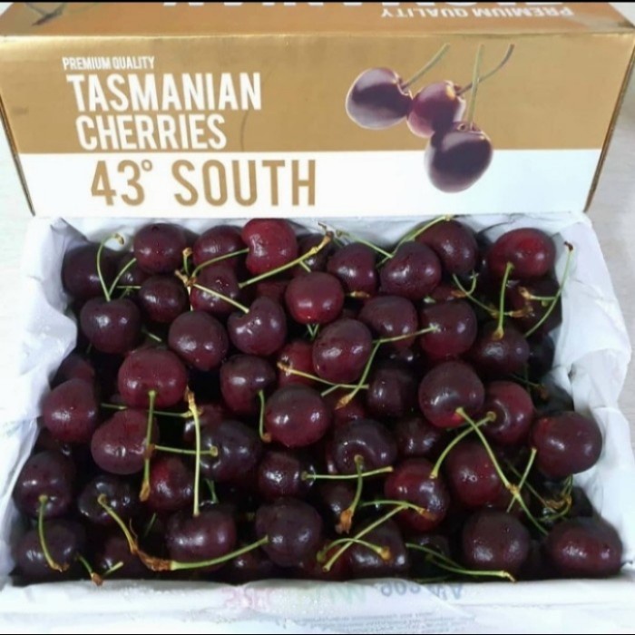 

Asli Buah Cherry Tasmania 1Kg Diskon