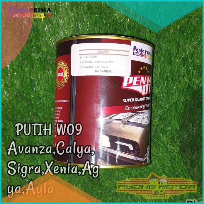 Cat Penta Oto/Cat Duco PU TT90-W09 White W09 (Putih Avanza,Rush,) 1Kg