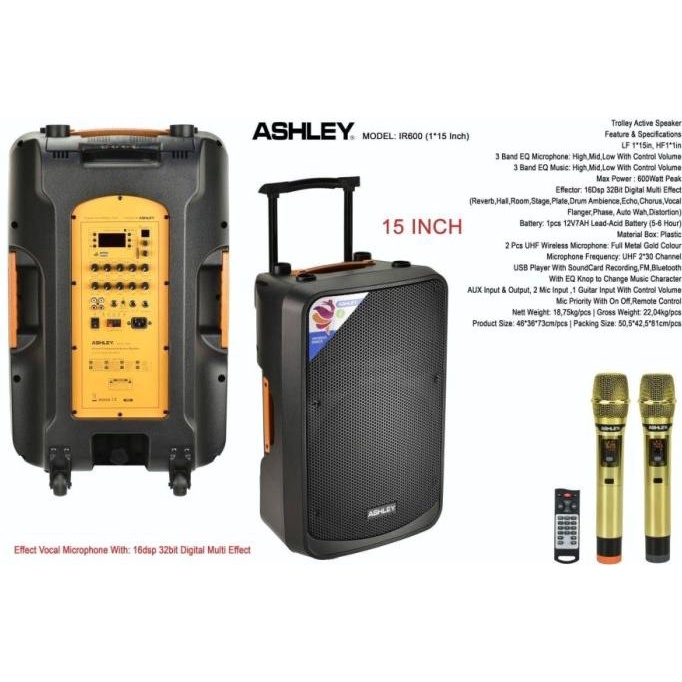 speaker portable ashley IR600 / IR 600 / IR-600 15 INCH ORIGINAL