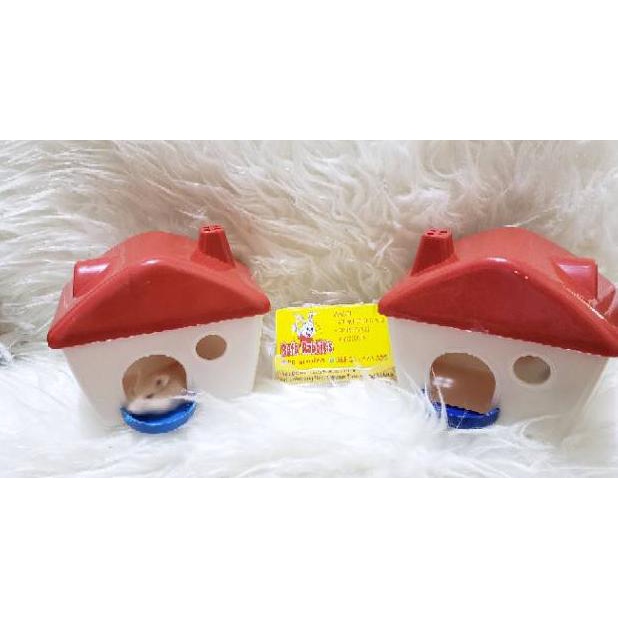 New - Sweet home hamster rumah hamster mainan hamster ,,