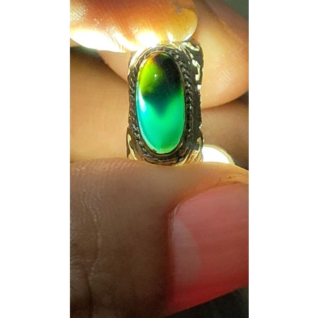 Bacan doko majiko coklat merah