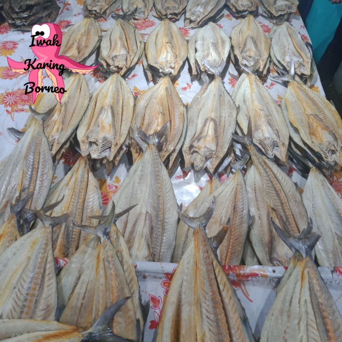 

Ikan Asin Tenggiri Telang Per Ekor