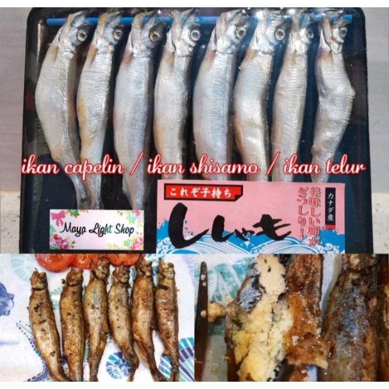 

ikan shisamo capelin fish ikan telur halal egg fish roe omega vitamin