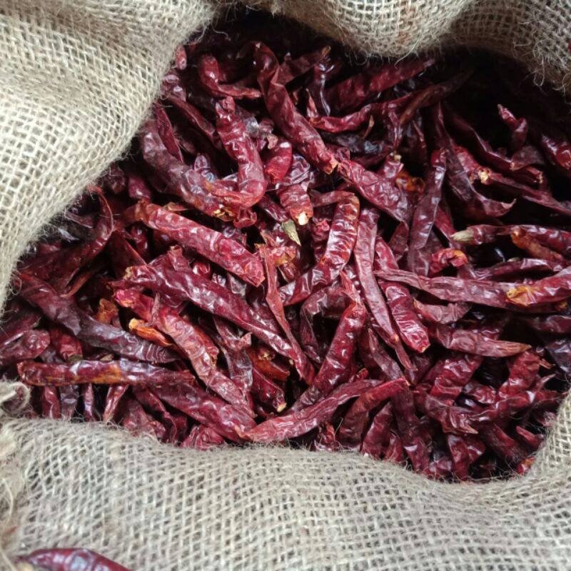 

Cabe Teja Pedas Cabe Merah Kering Rawit Cabe Rawit Teja Pedas Cabe Teja 1Kg Tanpa Tangkai