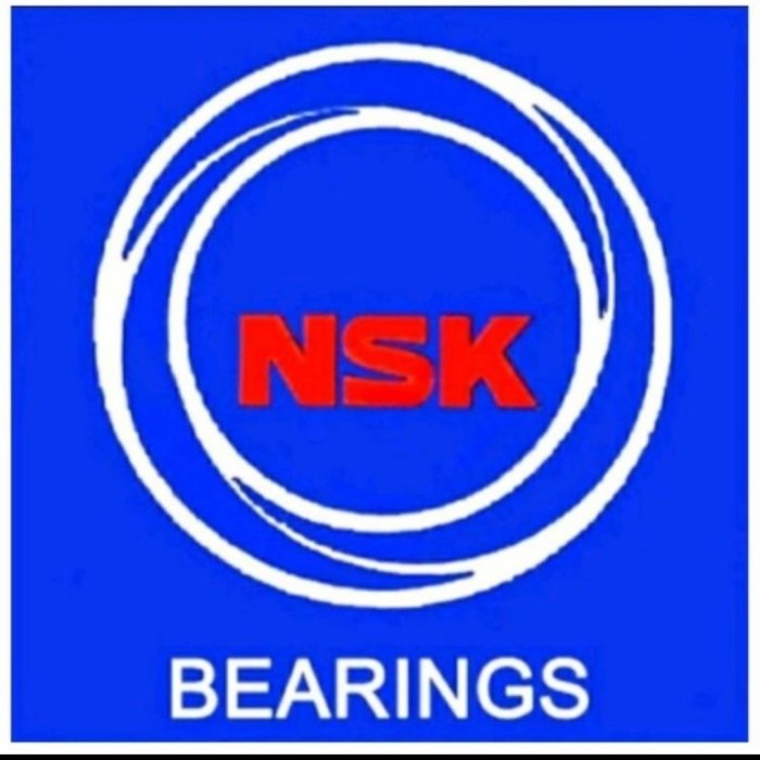 Bearing 6300/6300C3 Polos(Tanpa Tutup) Nsk Asli Best