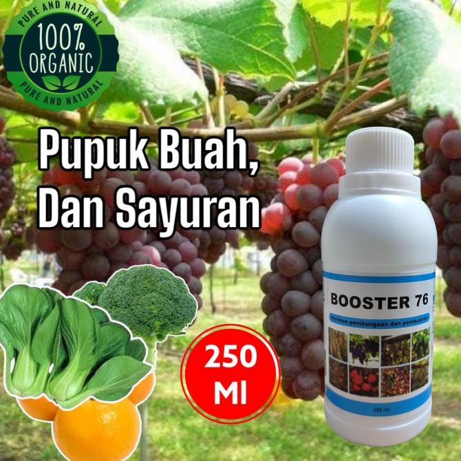 Pupuk Booster 76 Pupuk Organik Untuk Pelebat Tanaman Buah