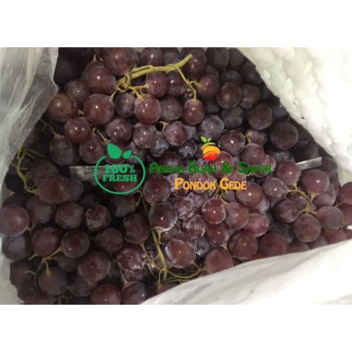 ✅Ready Buah Anggur Merah Segar 1 Keranjang  Krat Limited