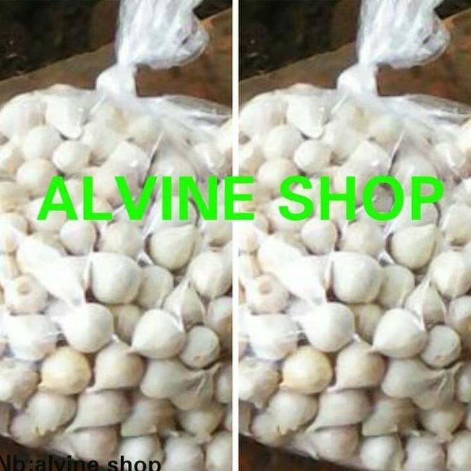

bawang putih tunggal/bawang lanang