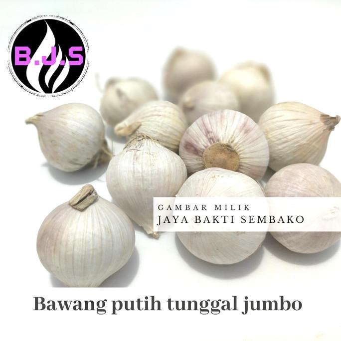 

bawang putih tunggal/lanang jumbo 1kg