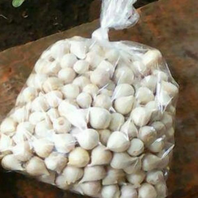 

Bawang Putih Tunggal Super/Bawang Lanang Ukuran Kecil 500 gr