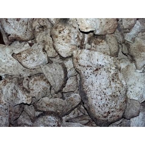 

monggo] Bidara Upas kering 1kg