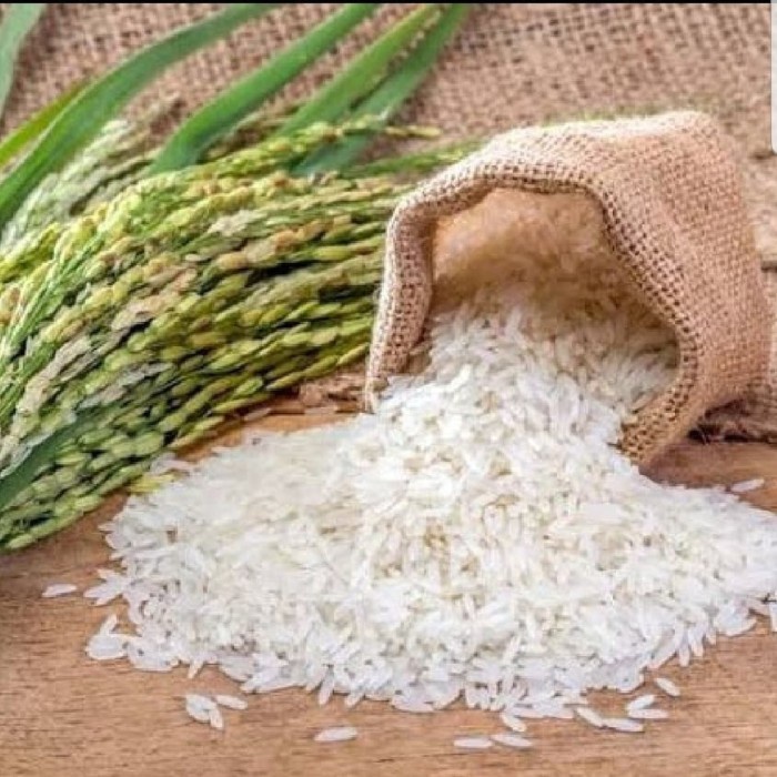 

Organik Murni/ Panwangi/ Mpasi/Rice Organic/Sehat