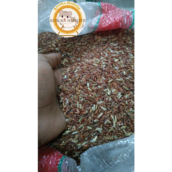 

Merah 1Kg Pakan Ayam Burung - Pakan Burun - Merah Premium