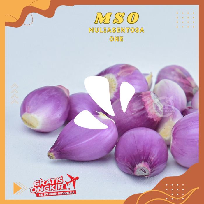 

BAWANG MERAH KUPAS 100 GR PRODUK BEST PRODUK !!