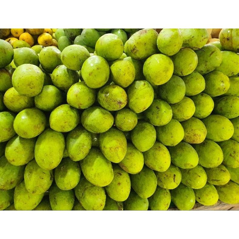 

Ready Buah Mangga Kweni enak manis