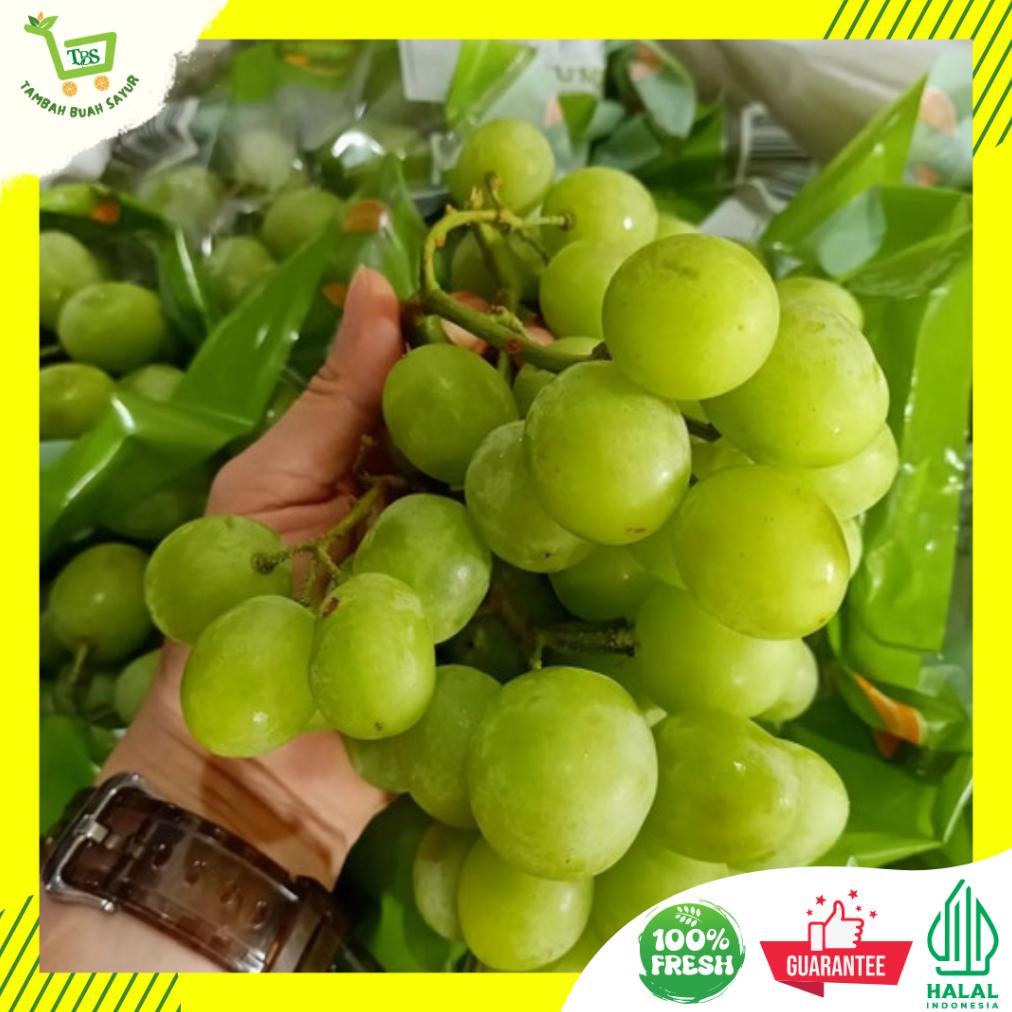 

Ready ANGGUR HIJAU TANPA BIJI | ANGGUR SHINE MUSCAT (KHUSUS SAMEDAY DAN INSTAN)