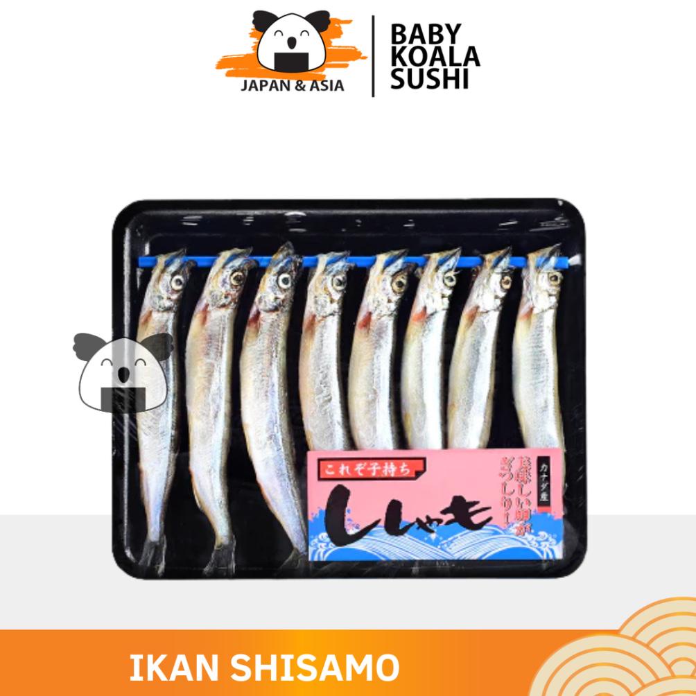 

Ready Ikan Shisamo Fish | Capelin Fish Premium Import Frozen | Full Telur