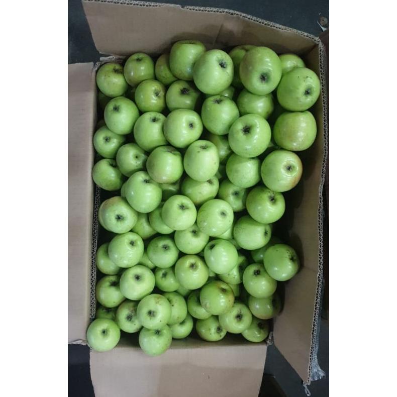 

Ready Apel malang manalagi