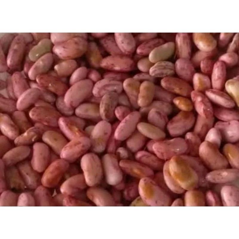 kacang merah kering 1kg