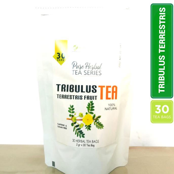 

Berkualitas! Tribulus Terrestris Fruit Tea Mood, Vitality & Fertility (30 Tea Bag !!